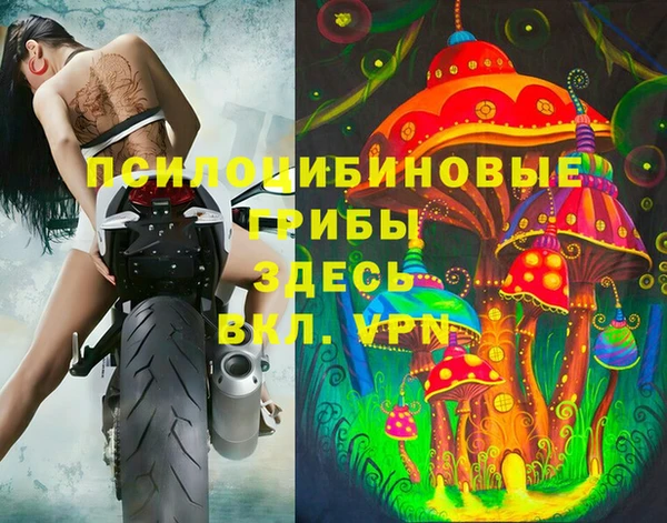 ешки Аркадак