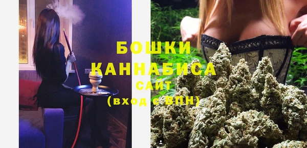 ешки Аркадак