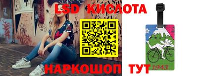 дмт Новодвинск