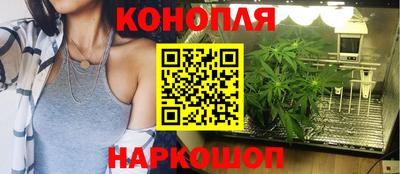 дмт Новодвинск