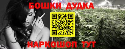 дмт Новодвинск