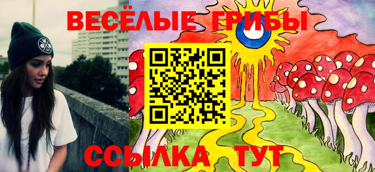 Георгиевск  Галлюциногенные грибы ЛСД  Вход с VPN 